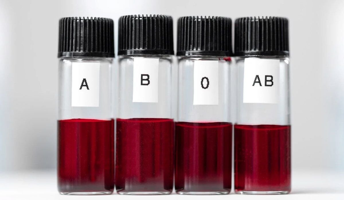 Kan grubuna göre beslenme nedir? Kimler için önemlidir?