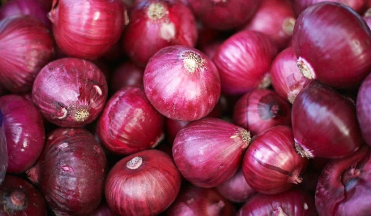 Soğan Kürü: Faydaları, Nasıl Yapılır ve Kimler Kullanmalı?