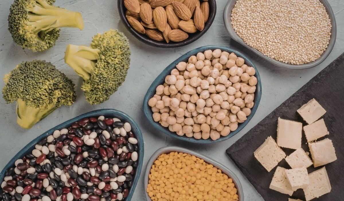 Bitkisel Protein Nedir? Faydaları, Kaynakları ve Doğru Kullanım Rehberi